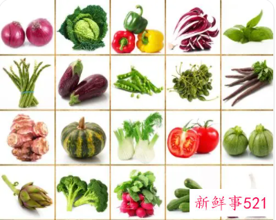 常见的蔬菜种类