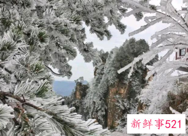 张家界雾凇什么时候有