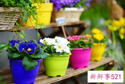 2022年狮子座全年运势