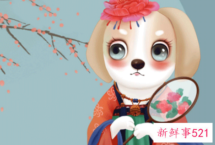 1982年属狗是什么命