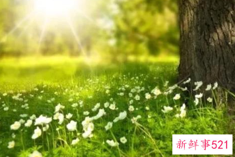 男人晒过度小心皮肤癌