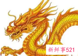 梦见龙特别真实