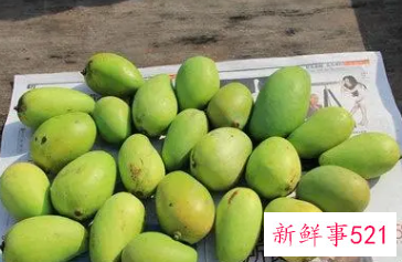 未熟的青芒果怎么保存