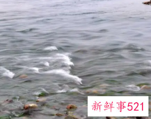 女人梦见家乡的小河变大河