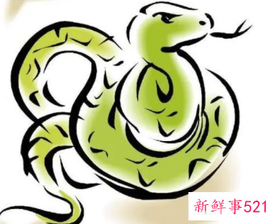 蛇男和女猴属相合不合