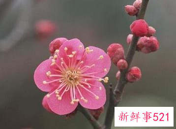 鼓励团队正能量早安语