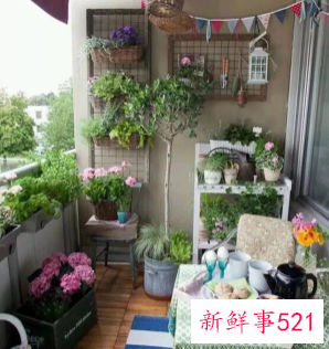 阳台盆栽摆放效果图