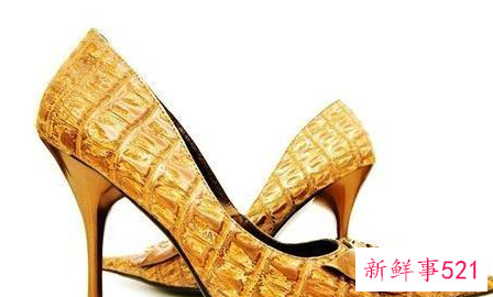 全球最贵的东西