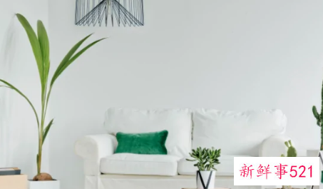 阳台盆栽摆放效果图