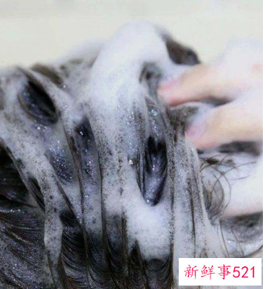 用盐和醋洗头疯长头发