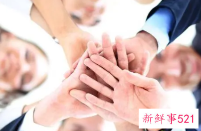 什么是团队凝聚力