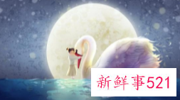 一个人不再爱你的4种表现