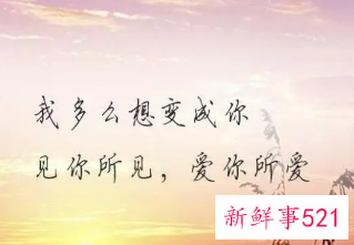 被情伤的心碎的句子