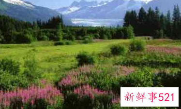 梦见诞生有什么征兆