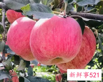 男人去除黑眼圈的方法