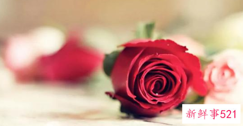 给女生最暖心的表白情话