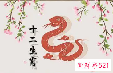 属蛇的人起名偏旁弄哪些