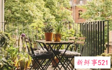 阳台盆栽摆放效果图