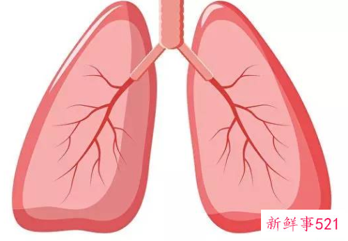 梦见肺有什么征兆