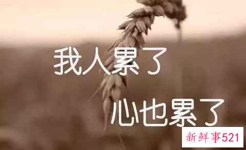 嫁人后的心酸语录