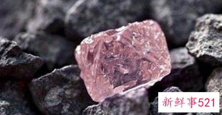 全球最贵的东西