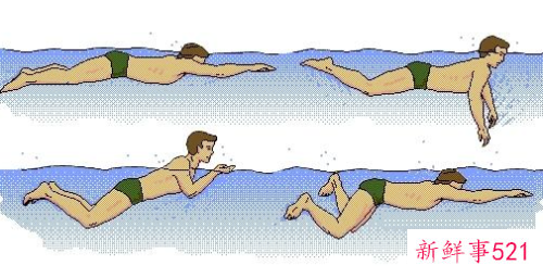 蛙泳换气的技巧有哪些