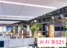 好听的科技公司名称