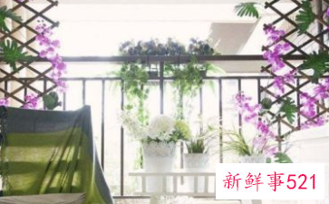 阳台盆栽摆放效果图