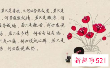 嫁人后的心酸语录