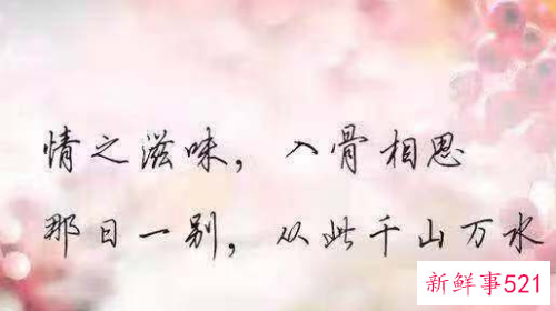 嫁人后的心酸语录