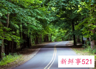 梦到河中间有路从路上过