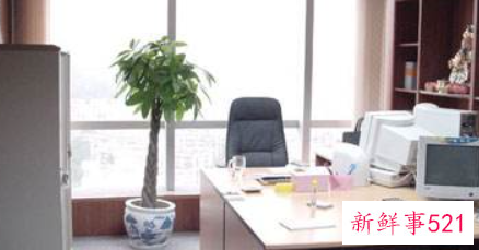 必看的办公室风水