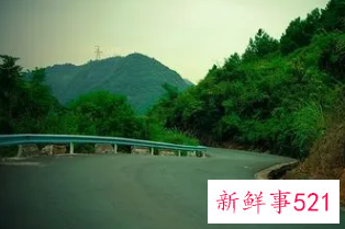 梦到河中间有路从路上过