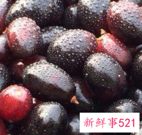 梅子可以止咳吗