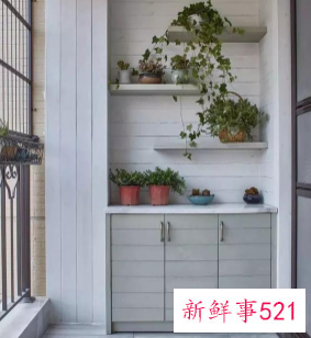 阳台盆栽摆放效果图