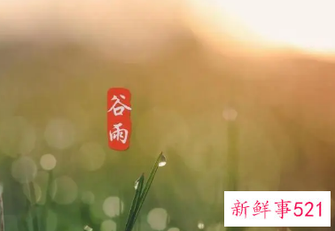 赞美谷雨节气的短句
