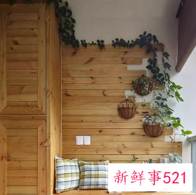 阳台盆栽摆放效果图