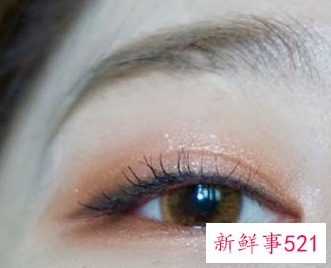 枫叶眼妆画法