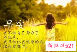 鼓励团队正能量早安语