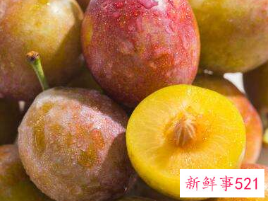 梅子可以止咳吗