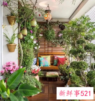 阳台盆栽摆放效果图