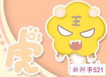 虎的本命年注意事项