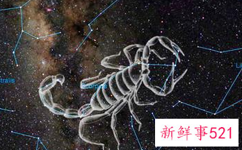 双鱼座会被什么星座吸引