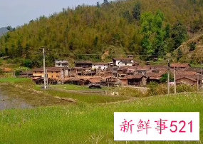 回农村老家的心情感悟和图片