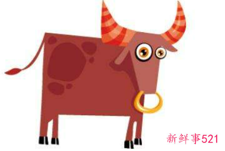 金牛座男生恶搞会有哪些骚操作