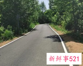 梦到河中间有路从路上过