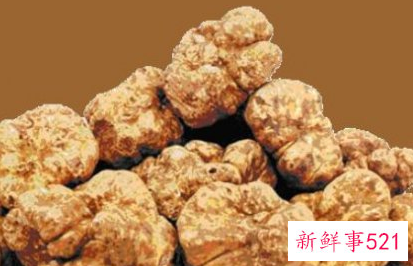 全球最贵的东西