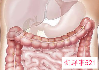 梦见割内脏的预示