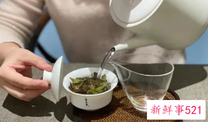 泡茶要多少茶叶这些技巧一定要掌握