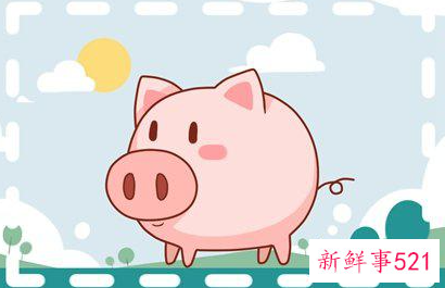 属猪人的运势运程